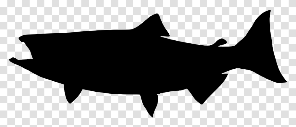 Fin King Salmon Silhouette, Gray, World Of Warcraft Transparent Png