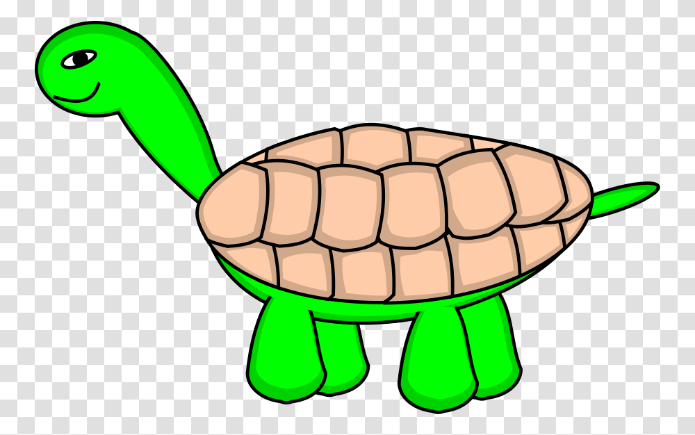 Final Cliparts, Tortoise, Turtle, Reptile, Sea Life Transparent Png