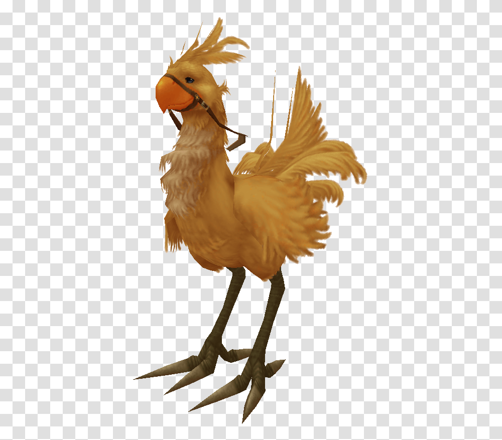 Final Fantasy Wiki Chocobo Final Fantasy X, Bird, Animal, Poultry, Fowl Transparent Png