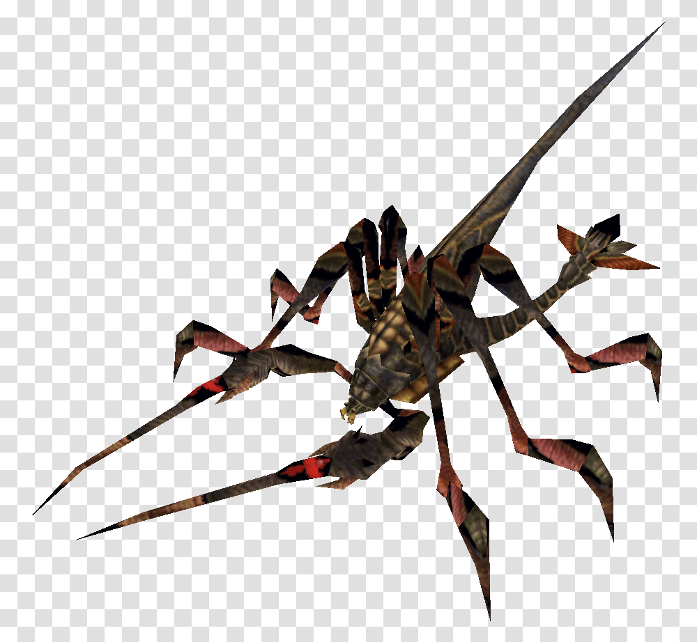 Final Fantasy Wiki Insect Fantasy, Animal, Invertebrate, Bow, Person Transparent Png