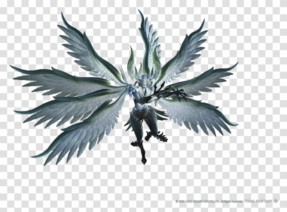 Final Fantasy Xiv Shadowbringers, Bird, Animal, Leaf, Plant Transparent Png