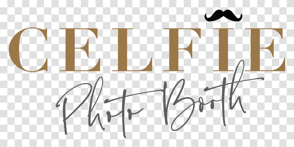 Final Logo Large Calligraphy, Handwriting, Alphabet, Signature Transparent Png