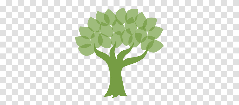Financial Planning & Investments Journey Tree Investment Financial Planning, Plant, Vegetable, Food, Sphere Transparent Png