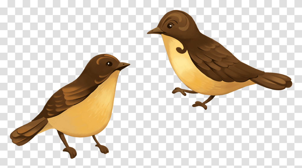 Finch, Bird, Animal, Beak, Jay Transparent Png