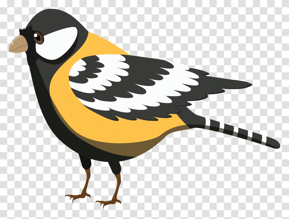 Finch, Bird, Animal, Hammer, Tool Transparent Png