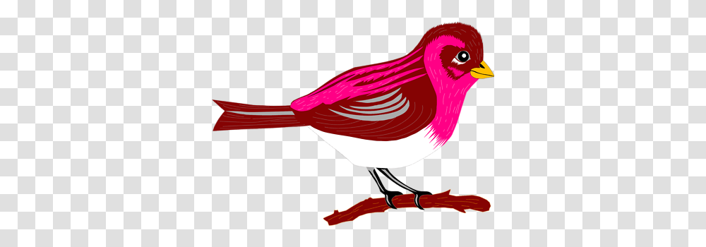 Finch Clip Art, Bird, Animal, Cardinal, Jay Transparent Png