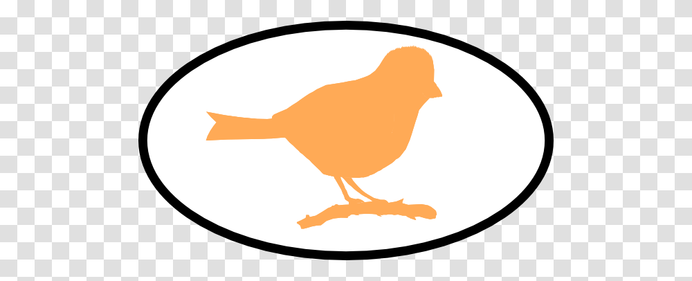 Finch Clip Art, Bird, Animal, Fowl, Poultry Transparent Png