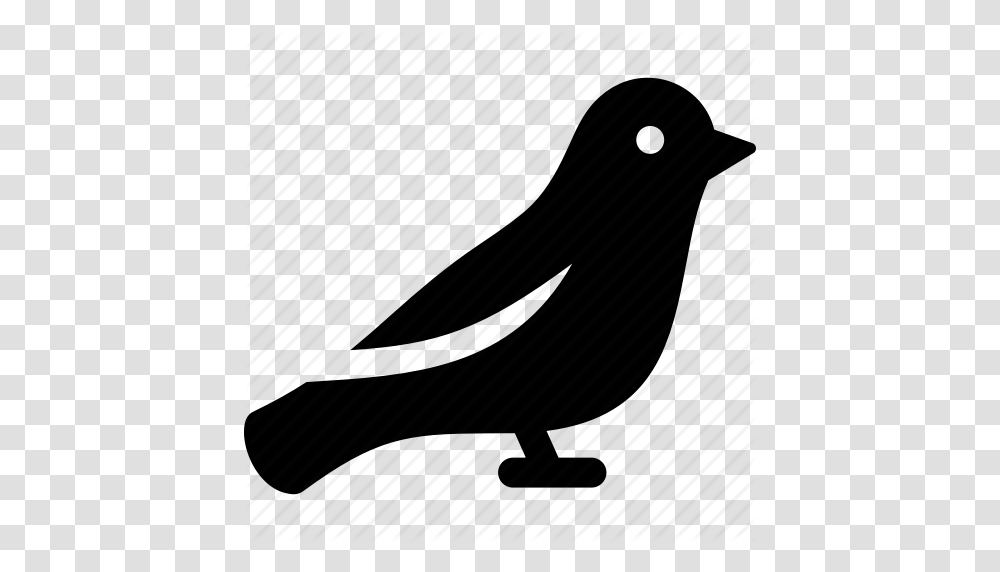 Finch Clipart Sparrow, Silhouette, Animal, Blackbird, Agelaius Transparent Png