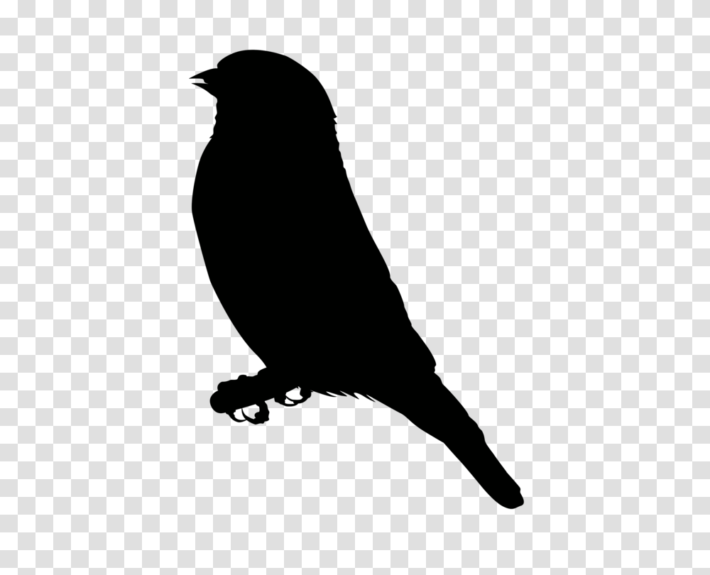 Finches Bird European Goldfinch Drawing Common Chaffinch Free, Nature, Outdoors, Night, Moon Transparent Png