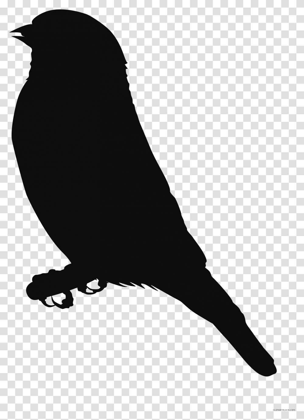 Finches Clip Art Scalable Vector Graphics Free Content Black Eagle Clipart, Bird, Animal, Beak, Person Transparent Png