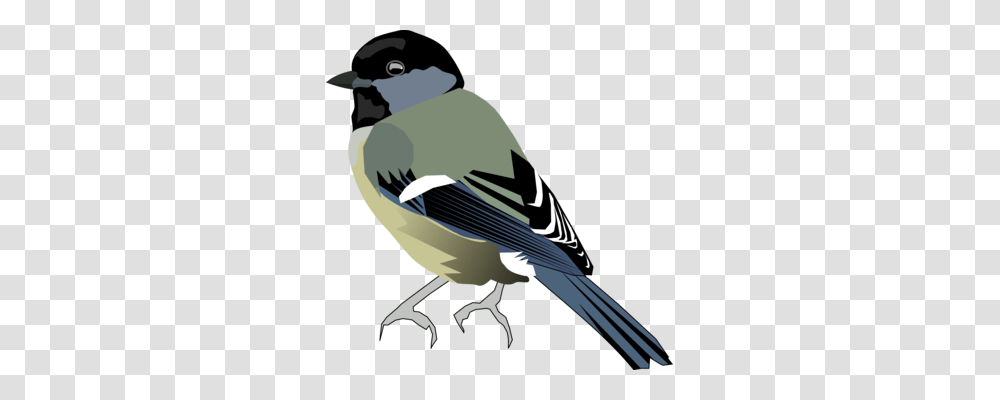 Finches Eurasian Bullfinch Bird Passerine, Jay, Animal, Magpie, Blue Jay Transparent Png