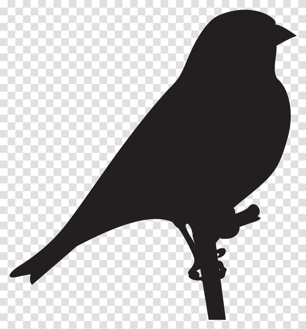 Finches Goldfinch Silhouette, Axe, Tool, Bird, Animal Transparent Png