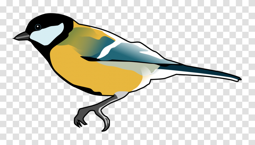 Finches Songbird Drawing Computer Icons, Animal, Waterfowl, Anseriformes, Beak Transparent Png