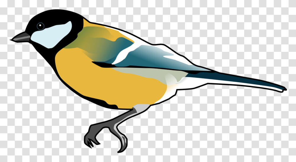 Finches Songbird Drawing Computer Icons Cc0 Tit Bird Tit Bird Svg, Animal Transparent Png