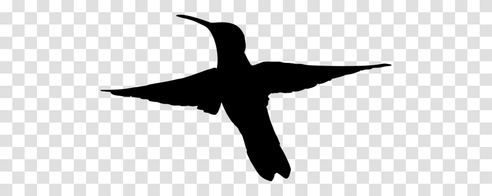 Finches Sparrow Bird Black And White Drawing, Gray, World Of Warcraft Transparent Png