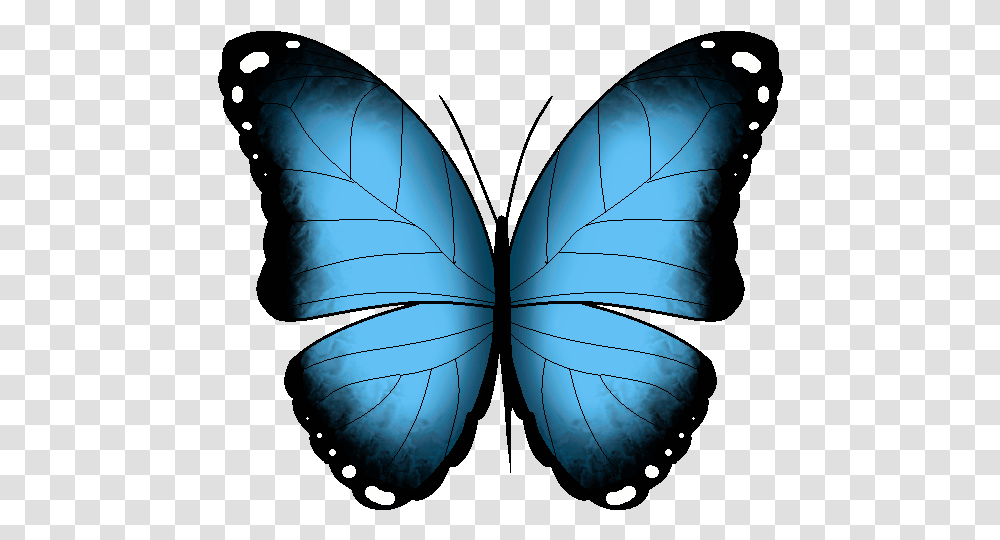 Find Make For Butterfly Animated Gif 110yll Butterfly Gif, Ornament, Pattern, Fractal, Balloon Transparent Png