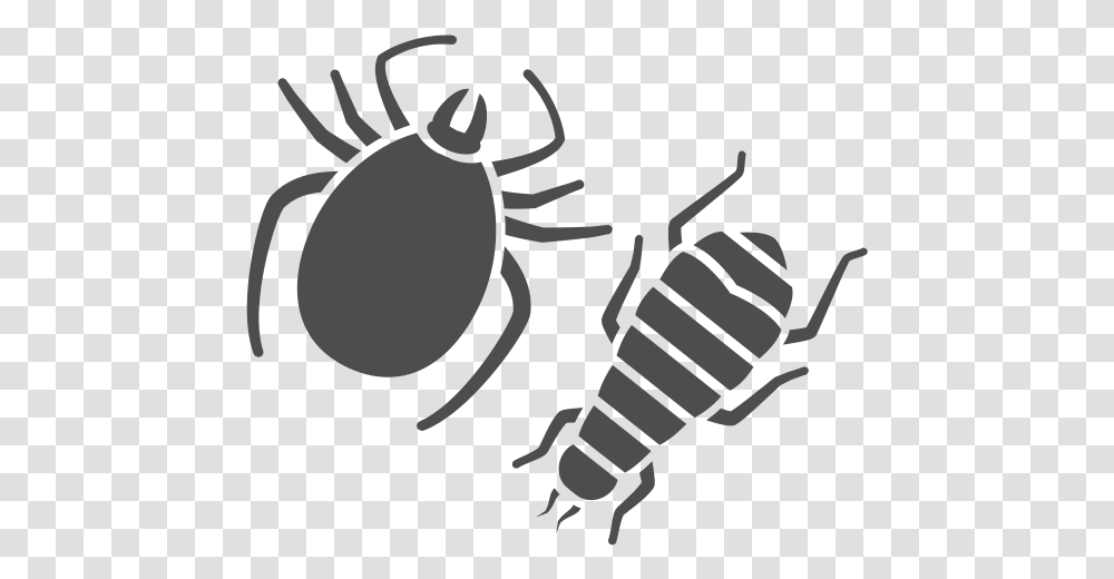 Find Out Flea Exterminator Cost In Nashville Tn Flea And Tick Illustration, Animal, Invertebrate, Insect, Sea Life Transparent Png