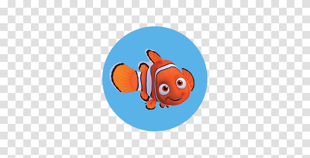 Finding Dory, Fish, Animal, Goldfish, Amphiprion Transparent Png