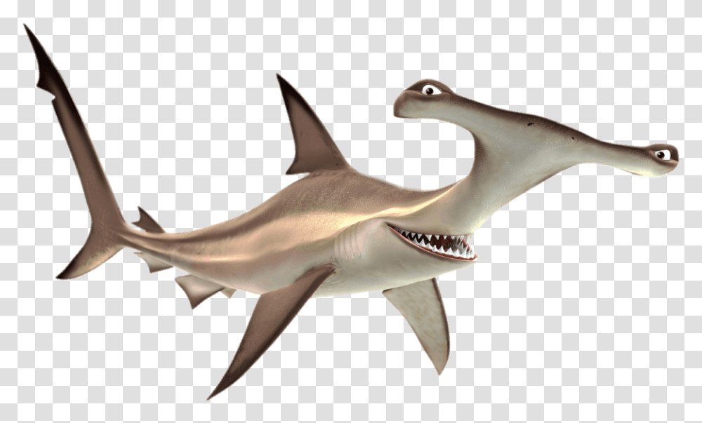 Finding Nemo Anchor The Shark Anchor Finding Nemo, Sea Life, Fish, Animal, Great White Shark Transparent Png