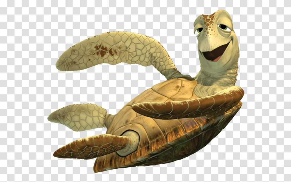 Finding Nemo Character, Tortoise, Turtle, Reptile, Sea Life Transparent Png