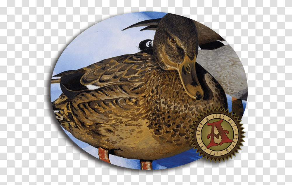 Fine Art Ducks, Bird, Animal, Waterfowl, Snake Transparent Png