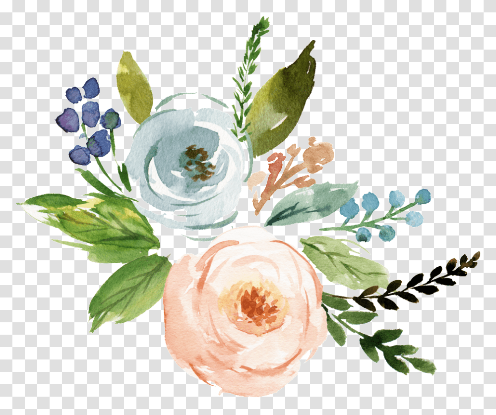 Fine Watercolor Flower Watercolor Flower Vector, Plant, Rose, Petal, Flower Arrangement Transparent Png