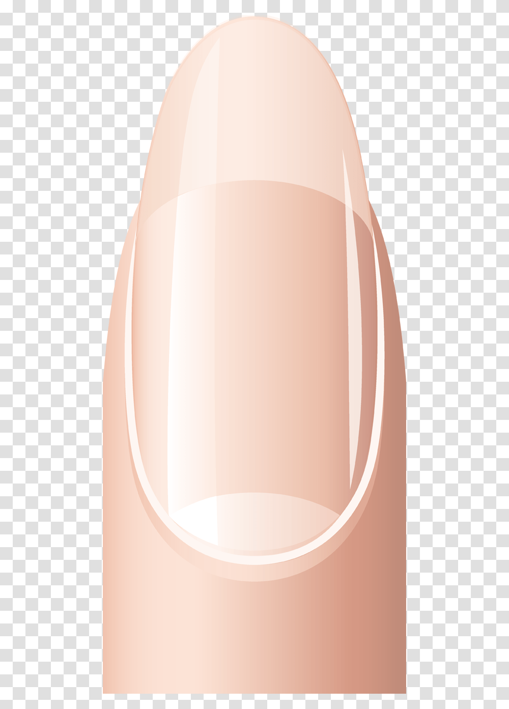 Finger Clipart Short Nail Normal Fingernails Clipart, Lamp, Beverage, Glass, Cup Transparent Png