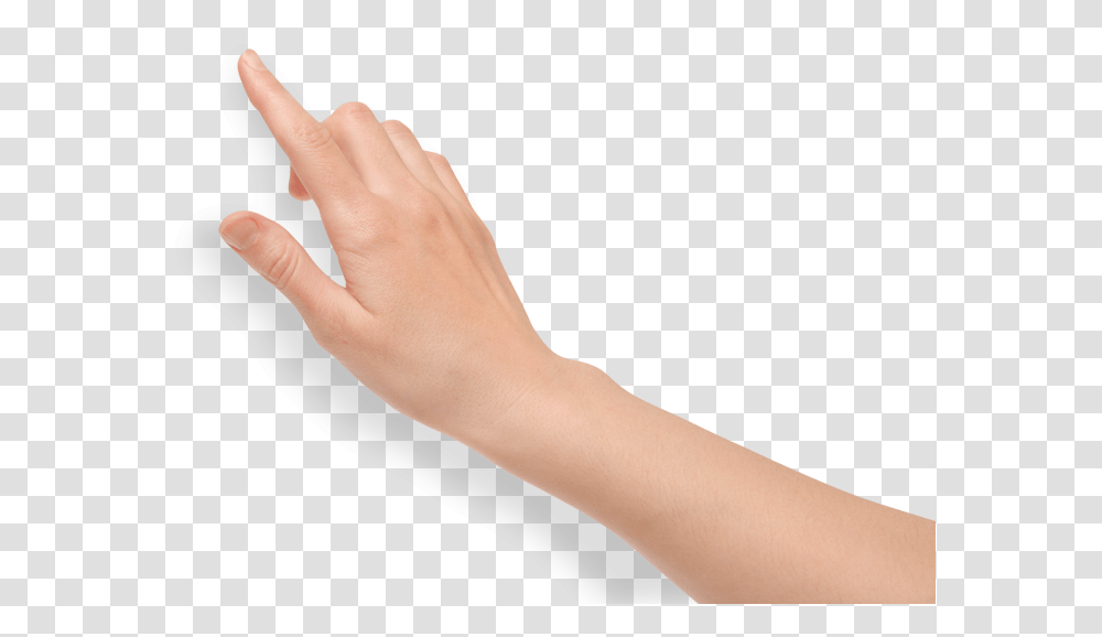 Finger Hand Backgrounds Back Of Hand, Person, Human, Wrist, Arm Transparent Png