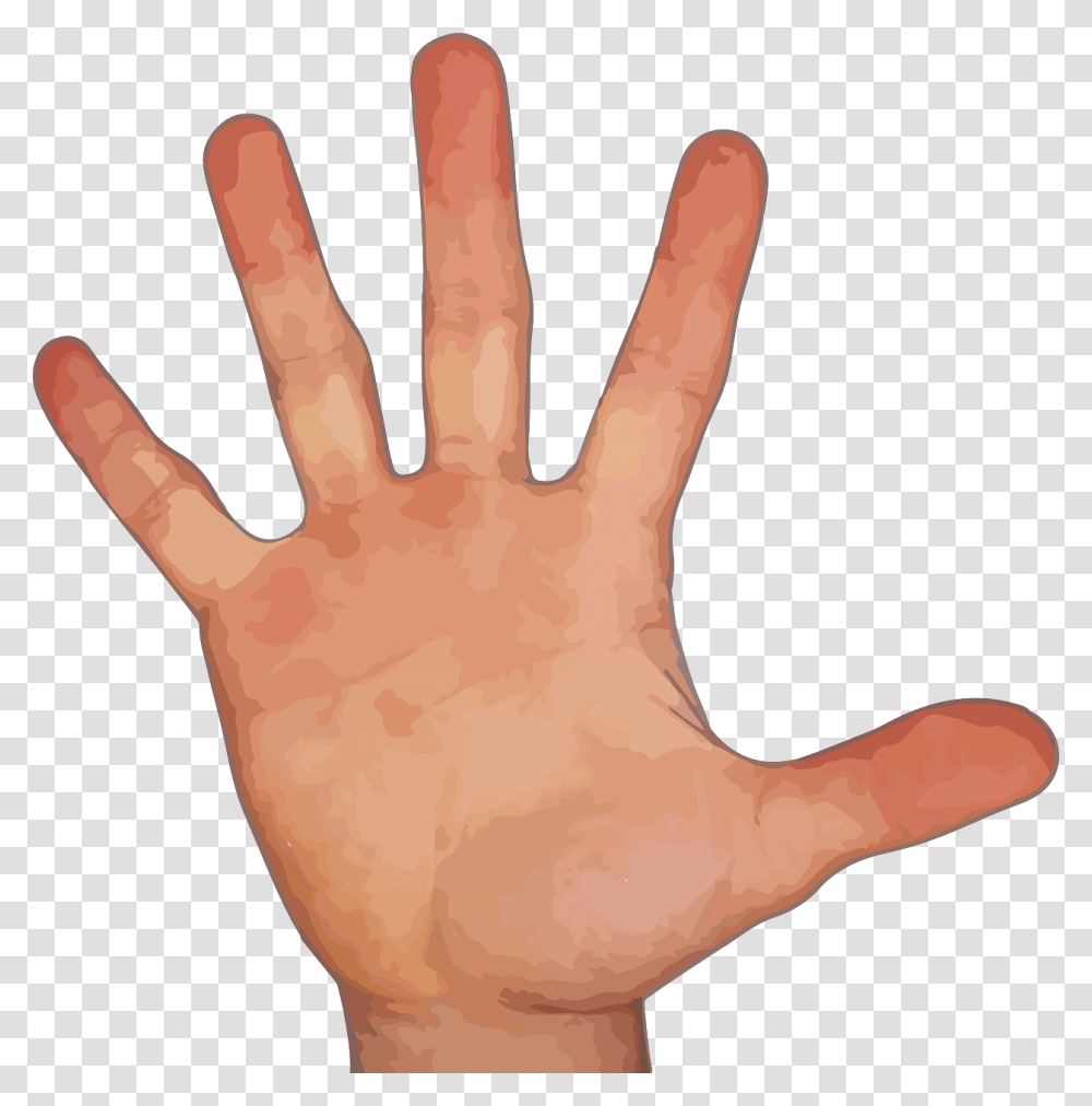 Finger Hand Thumb Index Finger Pointer Finger Hand With 5 Fingers, Wrist, Glove, Apparel Transparent Png