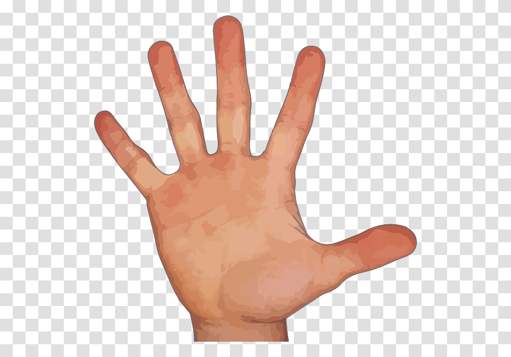 Finger, Person, Hand, Wrist Transparent Png