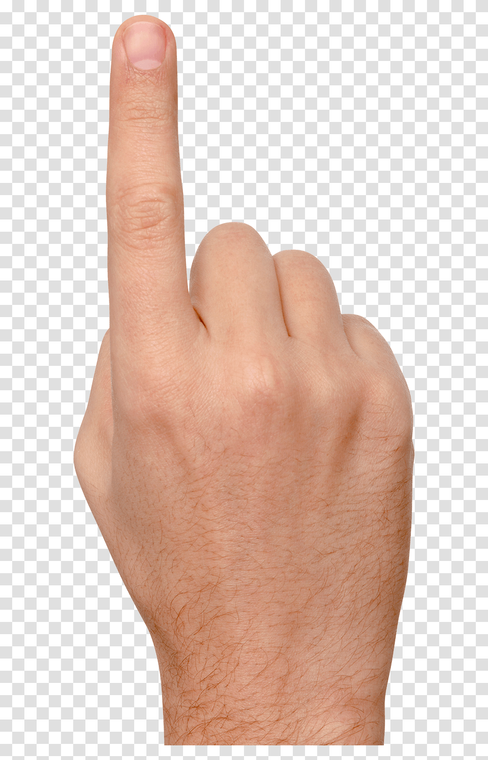 Finger, Person, Human, Hand, Thumbs Up Transparent Png