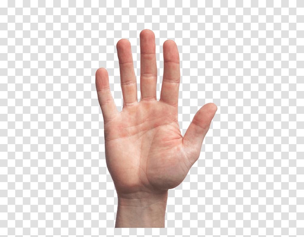 Finger Picture Serving Size Chicken Breast, Person, Human, Hand Transparent Png