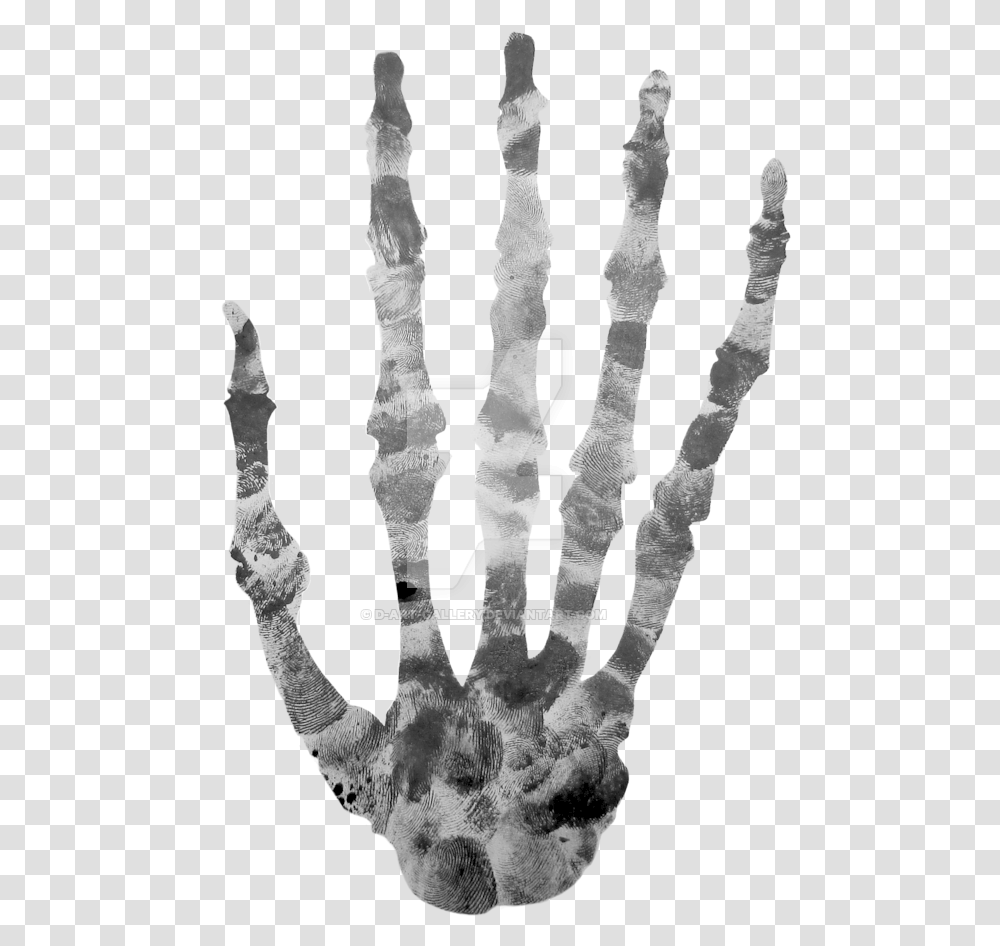 Finger Printed Skeleton By Skeleton Finger, X-Ray, Medical Imaging X-Ray Film, Ct Scan, Chess Transparent Png