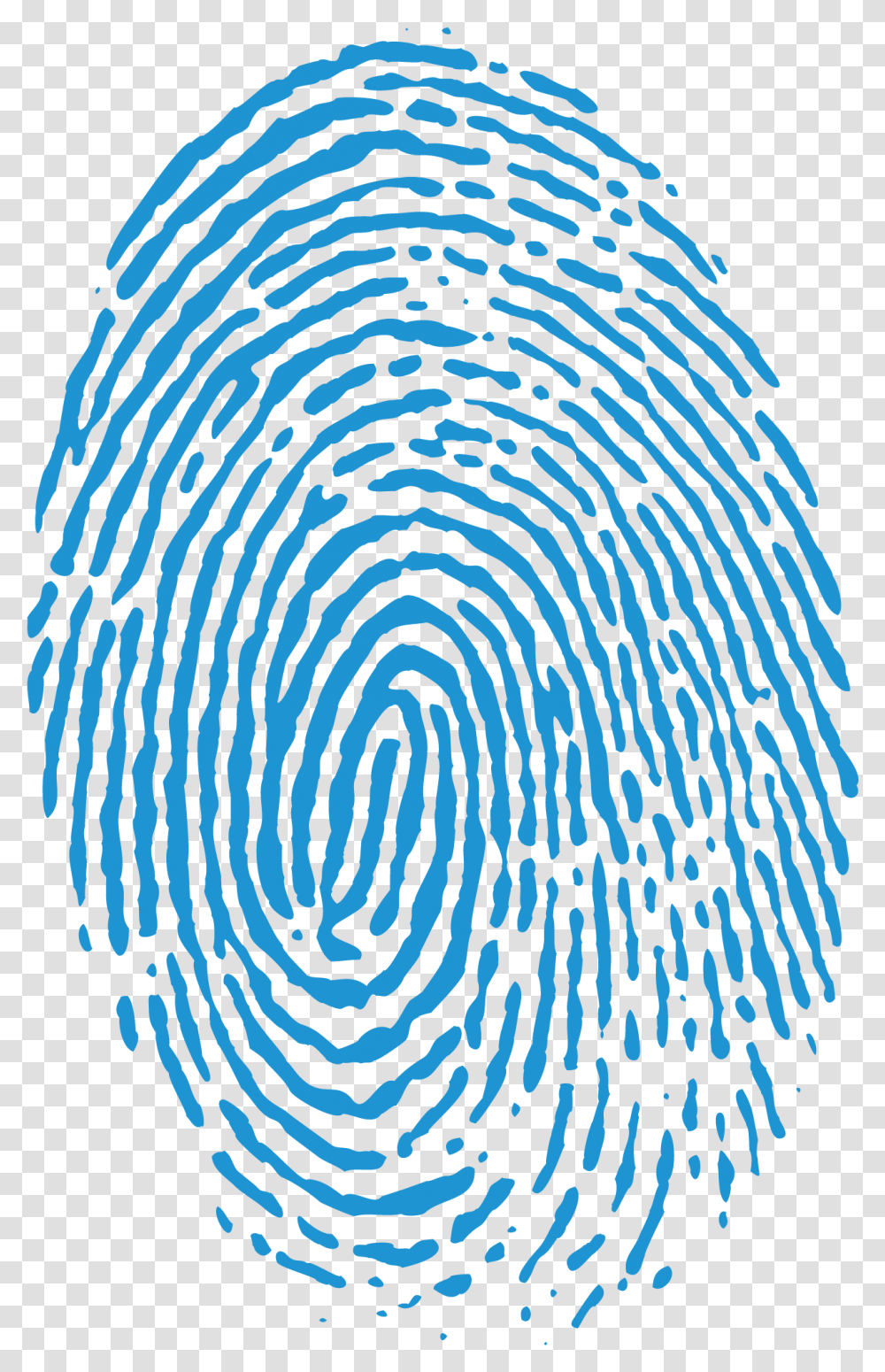 Fingerprint Biometrics Wiegand Blue Fingerprint, Spiral, Rug, Pattern, Coil Transparent Png
