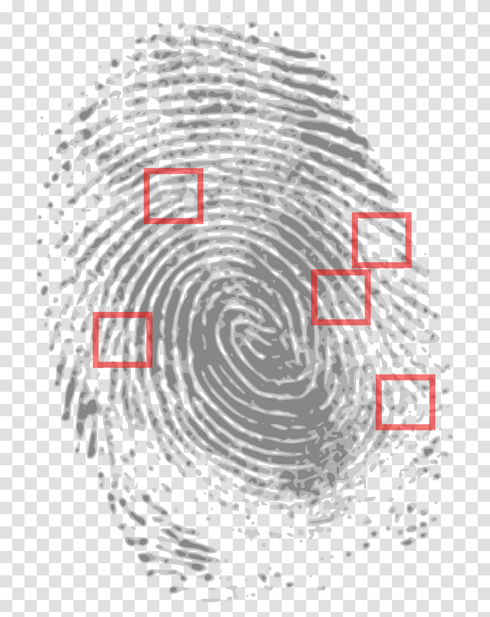 Fingerprint Forensic, Rug, Nature, Spiral Transparent Png
