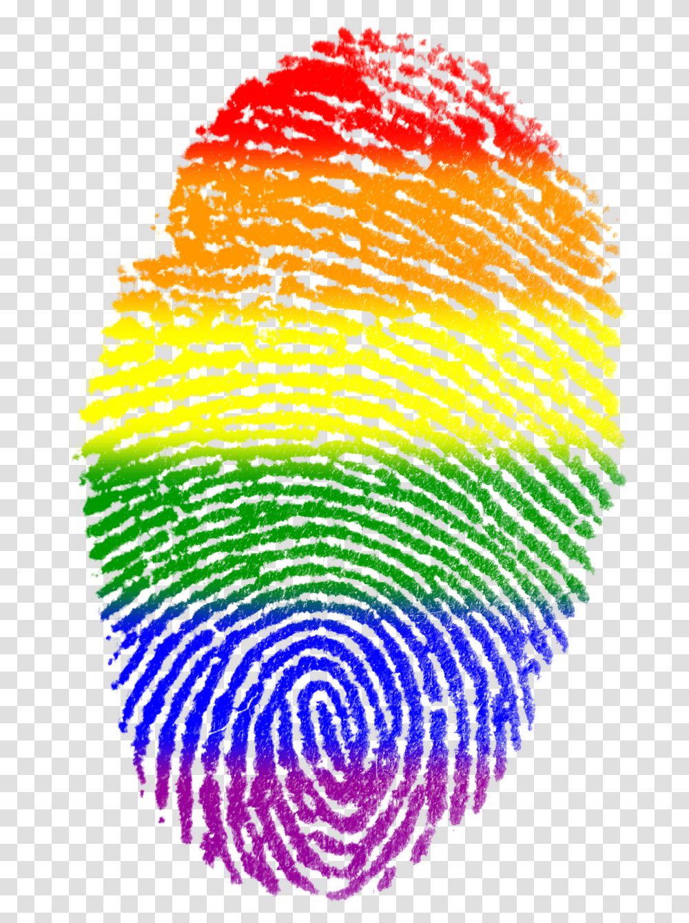 Fingerprint Gay Flag Symbol Finger Rainbow Lgbt, Pattern, Ornament, Fractal Transparent Png