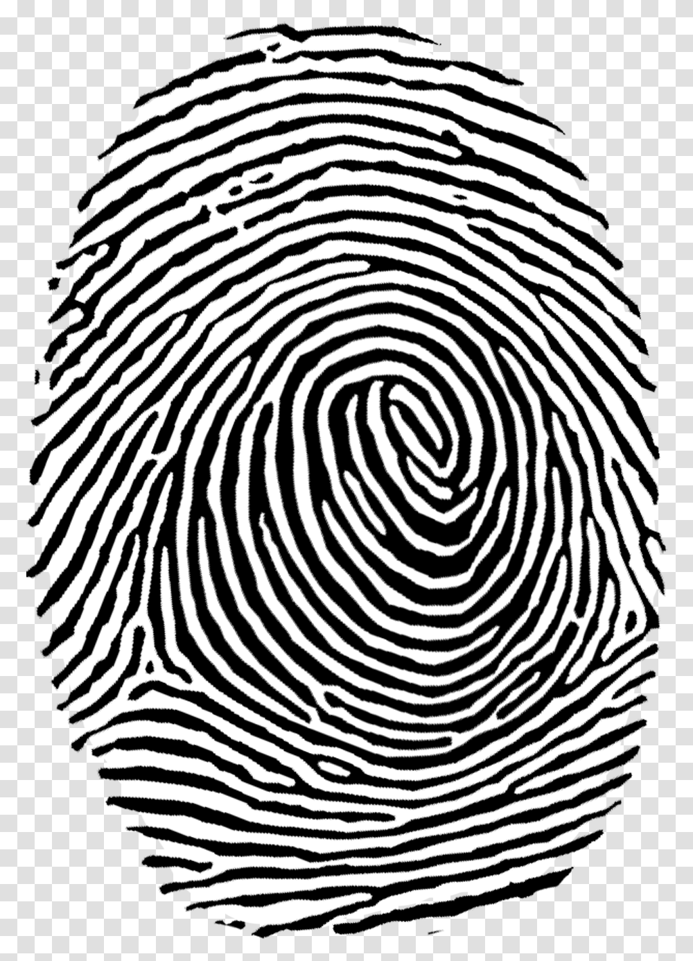 Fingerprint Image Collection Fingerprint, Rug, Spiral, Maze, Labyrinth Transparent Png