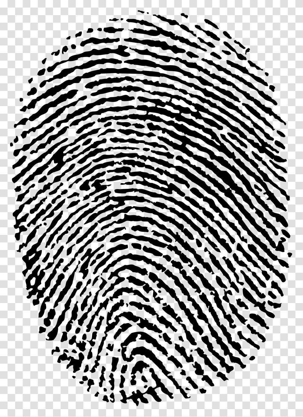 Fingerprint, Person, Bird, Outdoors Transparent Png