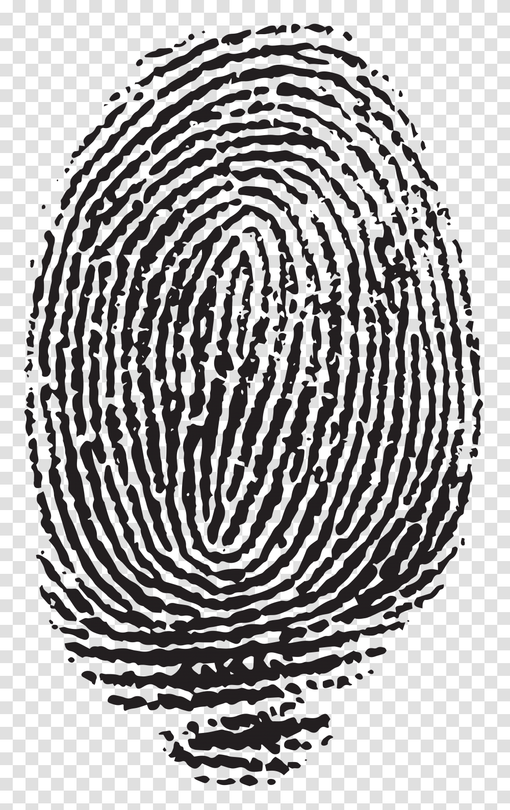 Fingerprint, Person, Electronics, Phone Transparent Png