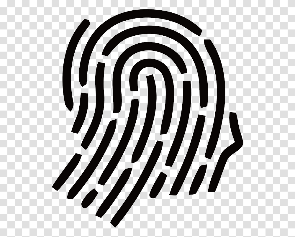 Fingerprint, Person, Maze, Labyrinth, Spiral Transparent Png