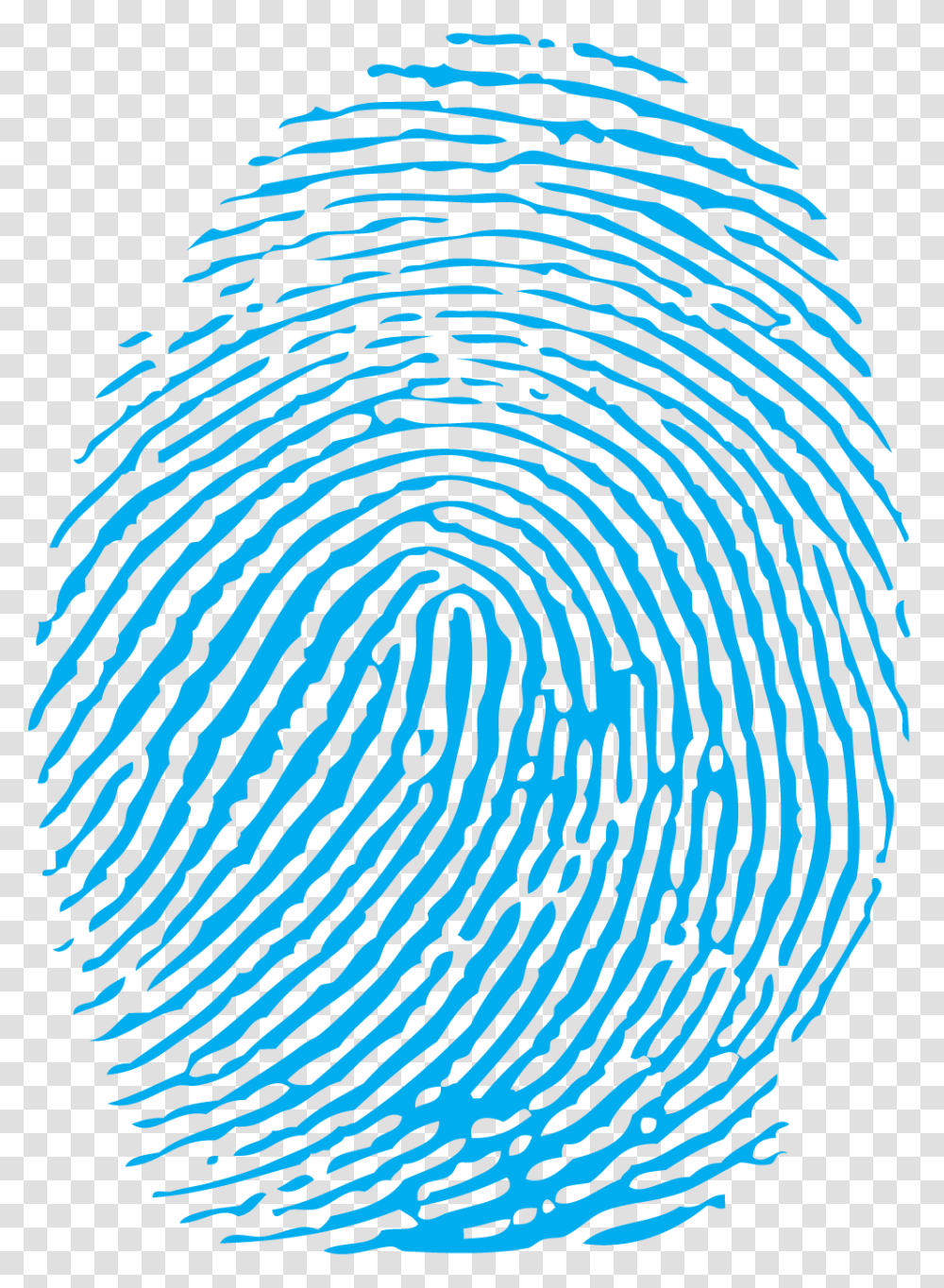 Fingerprint, Person, Pattern, Rug, Fractal Transparent Png