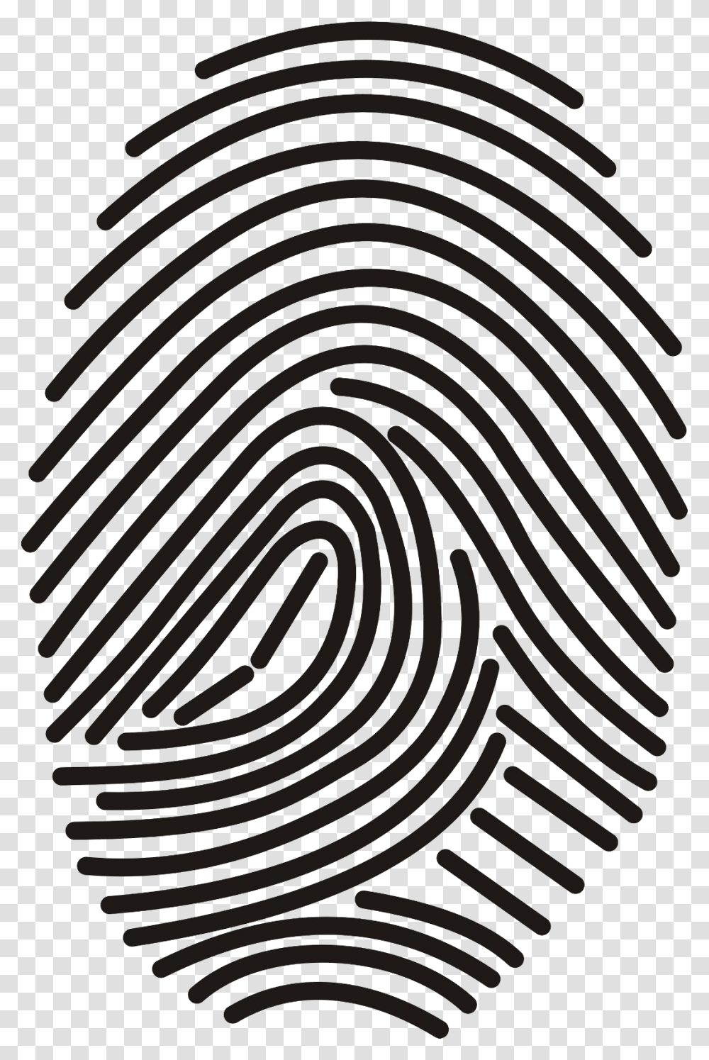 Fingerprint, Person, Pattern, Spiral Transparent Png