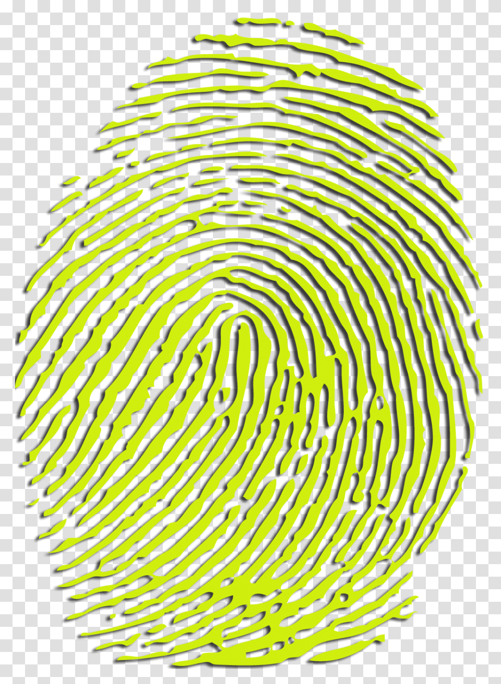 Fingerprint, Person, Pineapple, Fruit, Plant Transparent Png