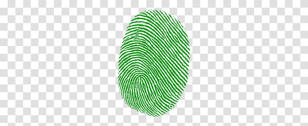 Fingerprint, Person, Rug, Plant, Pattern Transparent Png
