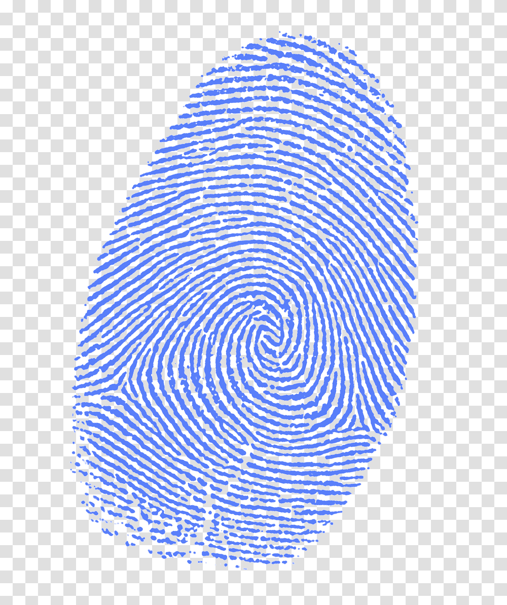 Fingerprint, Person, Rug, Spiral, Coil Transparent Png
