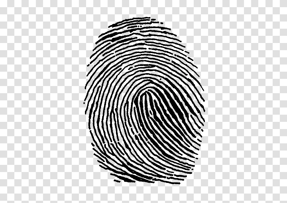 Fingerprint, Person, Rug, Spiral, Pattern Transparent Png