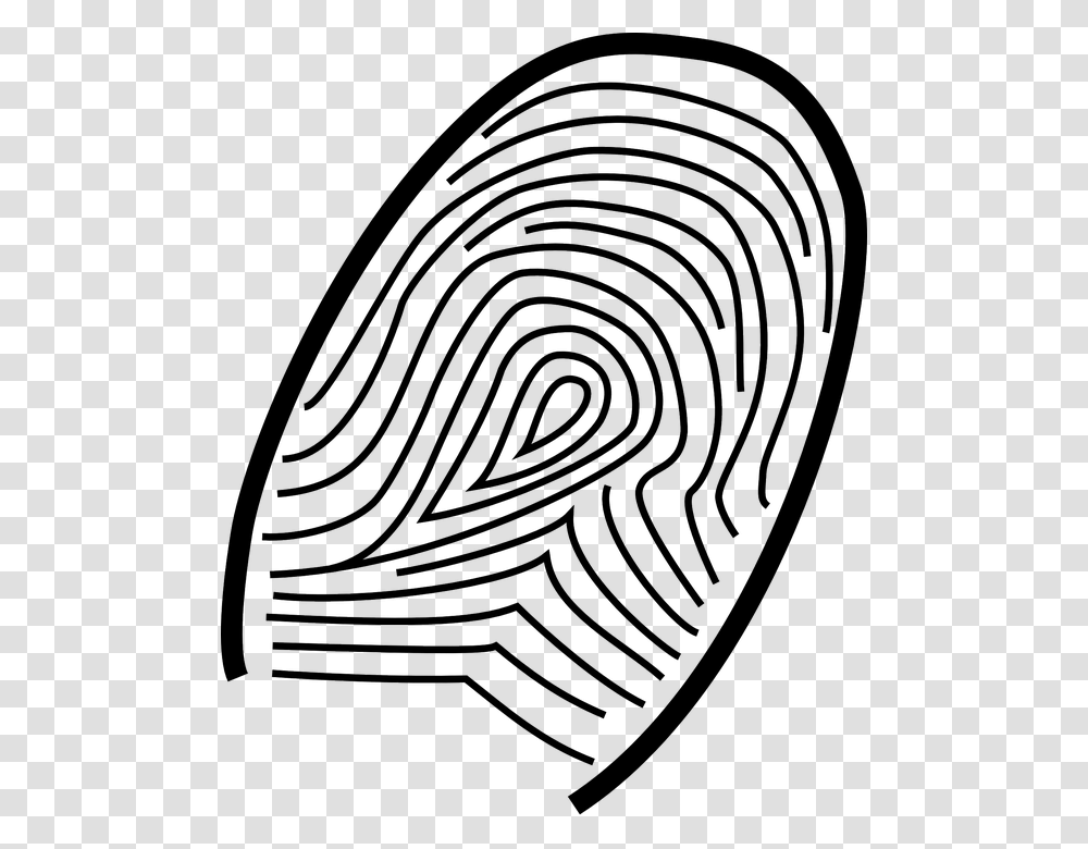 Fingerprint, Person, Spider Web Transparent Png