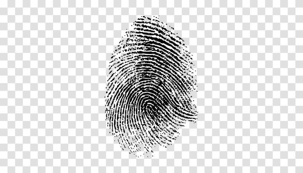 Fingerprint, Person, Spider Web, Word Transparent Png