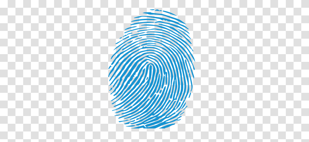 Fingerprint, Person, Spiral, Coil, Rug Transparent Png