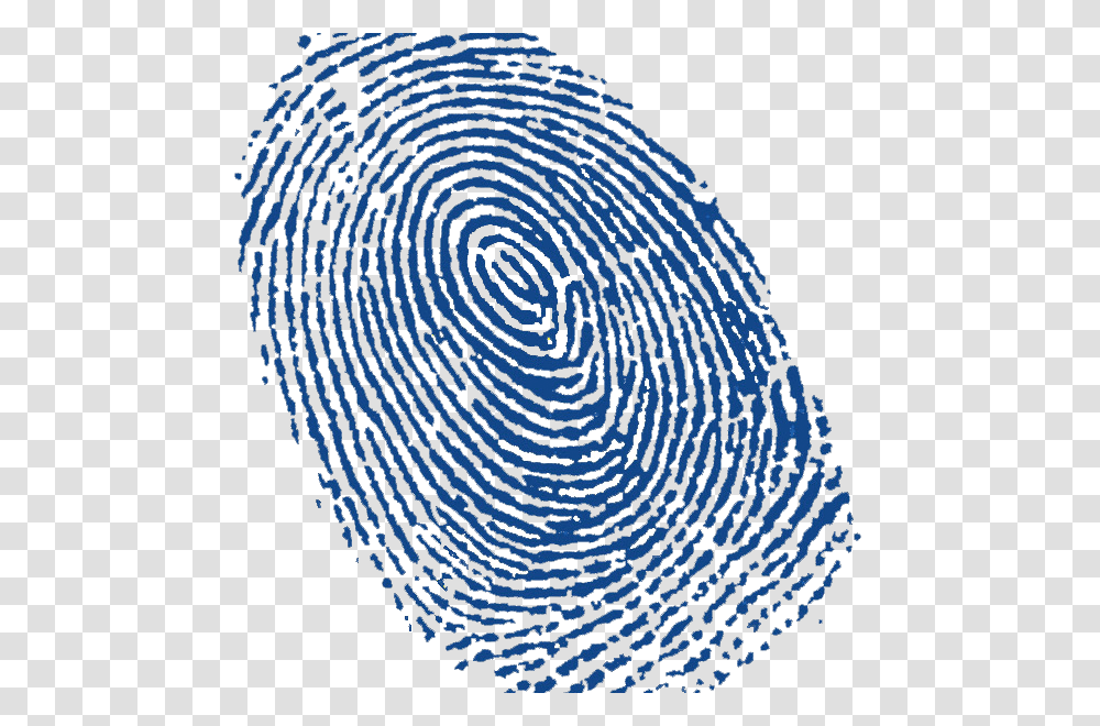 Fingerprint, Person, Spiral, Coil, Rug Transparent Png